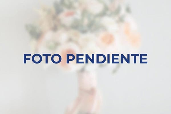 Micrófonos inalámbricos