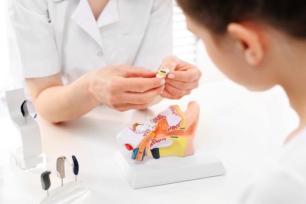 ¿Sabes cómo funciona el oído?