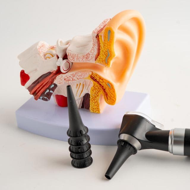 Expertos en funcionamiento del oído en Marín a tu disposición